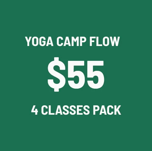 Yoga Camp flow (4 classes)